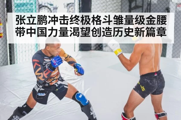 张立鹏冲击终极格斗雏量级金腰带中国力量渴望创造历史新篇章