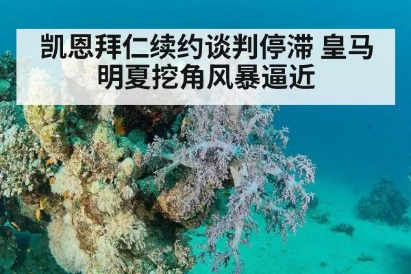 凯恩拜仁续约谈判停滞 皇马明夏挖角风暴逼近